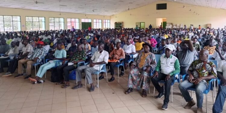 Filière cacaoyer/ Avant la fixation des prix : Les producteurs exigent une juste rémunération selon l’envolée internationale du cours