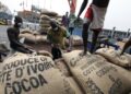Côte d’Ivoire/ Hausse des prix du Kg de cacao et de café : Le kg de cacao fixé à 1800, soit 20% de plus