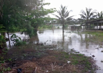Soubré/ Le fleuve Sassandra est sorti de son lit : Des villages, maisons et plantations inondés par les eaux