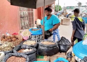 Côte d’Ivoire / Recours massif à la médecine traditionnelle : Un vrai problème de pauvreté, selon la Banque mondiale