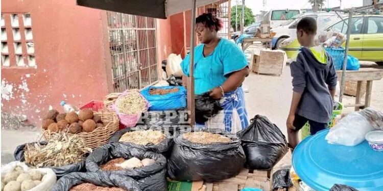 Côte d’Ivoire / Recours massif à la médecine traditionnelle : Un vrai problème de pauvreté, selon la Banque mondiale