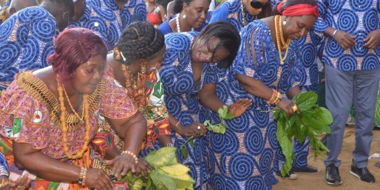 Bassam/Abissa 2024 : les forces vives N&rsquo;zima assurent