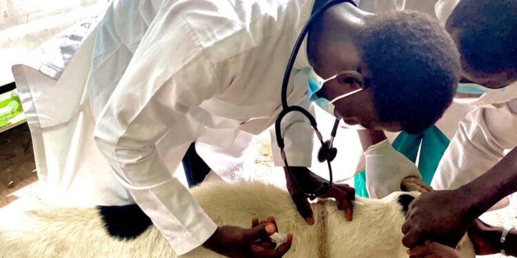 FÊTES DE FIN D&rsquo;ANNÉE : RENFORCEMENT DES CONTRÔLES SANITAIRES SUR LES DENRÉES ANIMALES ET D&rsquo;ORIGINE ANIMALE