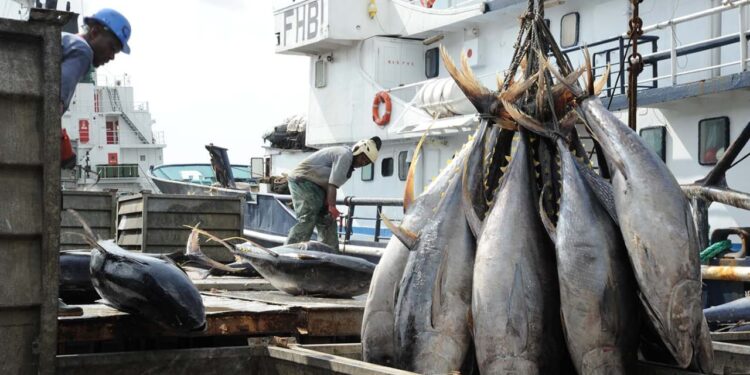 Drame au Port de pêche d’Abidjan