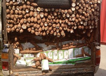 PORT BOUET: SAISIE DE MÉDICAMENTS DE QUALITÉ INFÉRIEURE DISSIMULÉS DANS UN VÉHICULE DE TRANSPORT DE MANIOC PAR LA GENDARMERIE