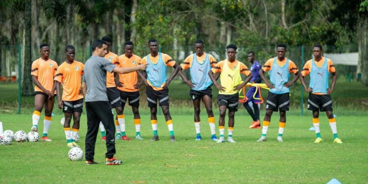 Éléphanteaux : les U20 encore au labo