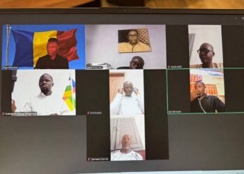 Des participants au forum lors de leur entretien en ligne.