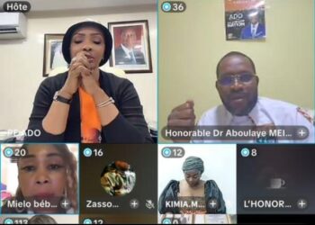 Clôture des meetings en ligne du PE-ADO