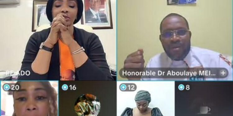 Clôture des meetings en ligne du PE-ADO