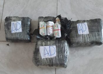 Lutte contre le Désordre urbain : La Brigade du District Autonome d’Abidjan saisit 10.000 comprimés Tramadol