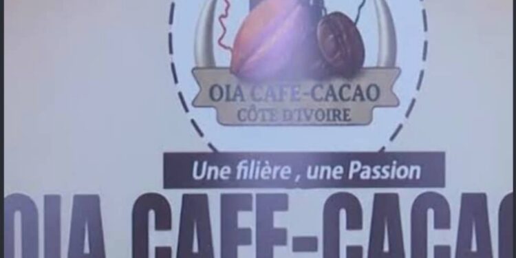 OIA Café-Cacao/ Thibault Yoro suspendu à titre conservatoire : L’organisation en donne les raisons
